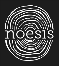 noesis spazio legno logo